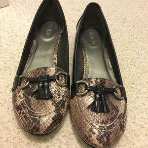 Liz & Co loafer 10 (runs small)  Worn 2x